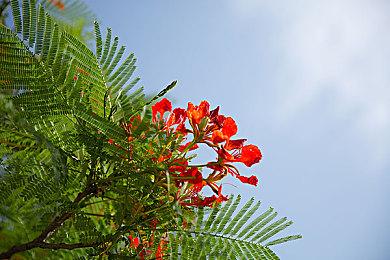 2D回合制策略游戏《怪兽战争》发布新预告 4月28日发售